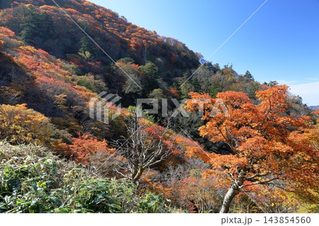 剣山 秋の訪れ 日本百名山 剣山 秋の訪れ 日本百名山 143854560