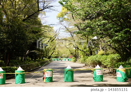 コロナ禍の上野公園 コロナ禍の上野公園 143855131