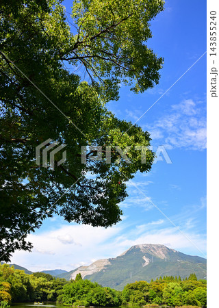 三島池から望む夏の伊吹山と青空2 三島池から望む夏の伊吹山と青空2 143855240