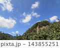 山の中から見上げた景色 143855251