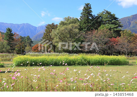 秋の国営アルプスあづみの公園 堀金・穂高地区 秋の国営アルプスあづみの公園 堀金・穂高地区 143855468