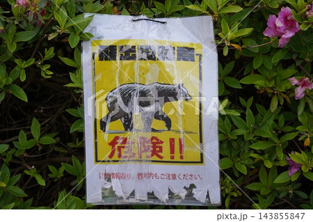 熊出没注意 熊出没注意 143855847
