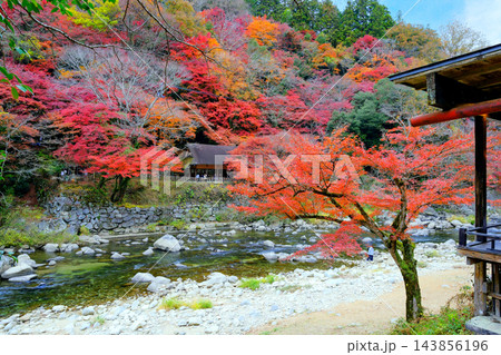 紅葉のある風景 紅葉のある風景 143856196