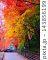 紅葉に彩られた小径（縦） 143856199
