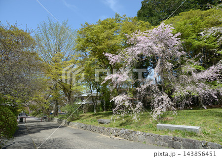 鷺森神社　参道　京都市左京区修学院宮ノ脇町 143856451