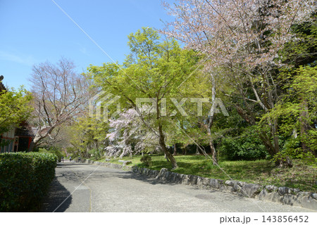 鷺森神社　参道　京都市左京区修学院宮ノ脇町 143856452