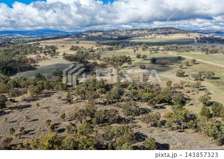 Aerial view of open grazing country with scattered trees, rolling hills and dramatic cumulus clouds beneath a bright blue sky. Aerial view of open grazing country with scattered trees, rolling hills and dramatic cumulus clouds beneath a bright blue sky. 143857323