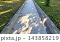 Concrete Outdoor Footpath with Tree Shadows and Fallen Leaves in Park    143858219