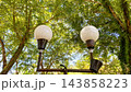 Double Globe Street Lamp Post Against Lush Green Tree Canopy    143858223