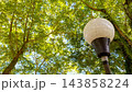 White Globe Park Light Pole with Sunny Green Tree Canopy Background    143858224