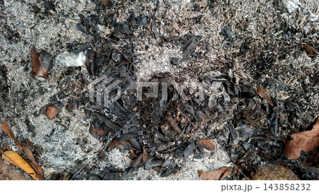 Burnt Leaves Ash and Charcoal Texture Background in Nature Burnt Leaves Ash and Charcoal Texture Background in Nature 143858232