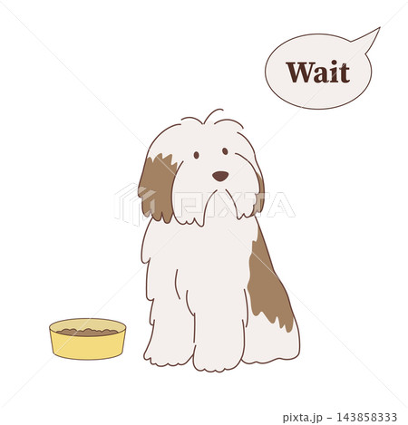 早くごはんを食べたい犬　ごはん待ちの犬 143858333