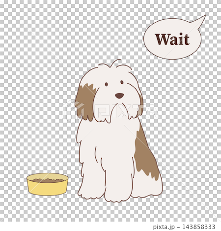 早くごはんを食べたい犬 ごはん待ちの犬 早くごはんを食べたい犬 ごはん待ちの犬 143858333