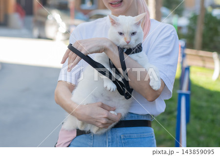 The owner puts the cat into a transparent carrier backpack. 143859095