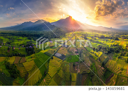 Aerial view of sunlit rice terraces and cultivated farmland extending toward a mountain range, showcasing the colorful patterns and textures of a productive rural landscape. 143859681