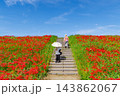 彼岸花と青空(矢勝川 愛知県半田市) 彼岸花と青空(矢勝川 愛知県半田市) 143862067