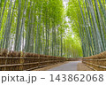 ちたの竹林(愛知県知多市) ちたの竹林(愛知県知多市) 143862068