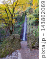 秋の養老の滝(岐阜県) 秋の養老の滝(岐阜県) 143862069