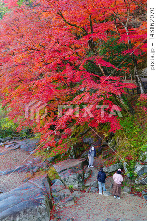 香嵐渓の紅葉（愛知県j豊田市足助町） 143862070