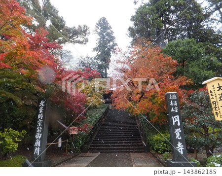 雪舞う円覚寺の紅葉参道 143862185