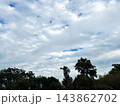 雲に覆われた空と木々 143862702