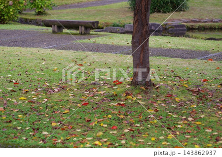 秋の公園の落ち葉 143862937