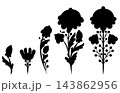 Vector set of black silhouette of folk art flowers clip arts. Monochrome collection of decorative floral illustrations 143862956