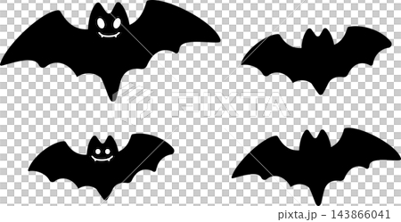 可愛いコウモリのイラストセット 143866041