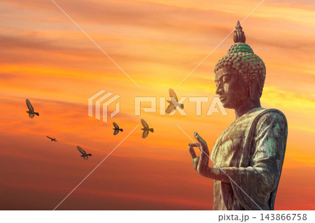 Bronze Buddha statue with flying birds at sunset sky background 143866758