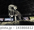 カマラサウルスの骨格標本、笠岡市立カブトガニ博物館、世界でここだけ、カブトガニをテーマにした博物館 143866812