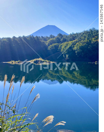 精進湖と富士山（山梨県・富士河口湖町） 143867546