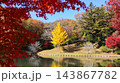 池に映る紅葉　笠間市　北山公園 143867782