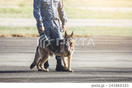 Soldiers from the  K-9 unit demonstrations to attack the enemy , the green lawns. 143868183