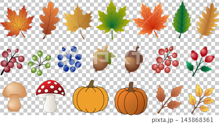 Large autumn collection featuring colorful leaves pumpkins mushrooms acorns and wild berries isolated on white background Large autumn collection featuring colorful leaves pumpkins mushrooms acorns and wild berries isolated on white background 143868361