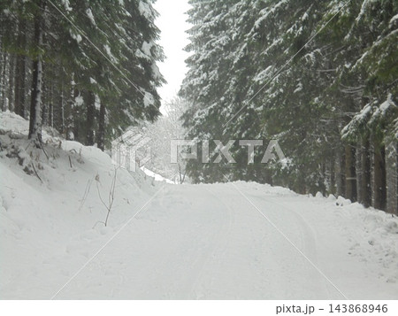 Czech spruce forest road in winter, snow-covered on overcast day 143868946