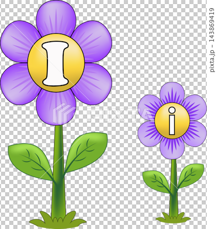 Educational alphabet letter I card set featuring uppercase and lowercase letters on cute purple flowers Educational alphabet letter I card set featuring uppercase and lowercase letters on cute purple flowers 143869419
