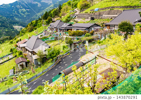 【重要伝統的建造物群保存地区】東祖谷山村落合　初夏の山村の風景3　徳島県三好市 143870291