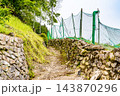 【重要伝統的建造物群保存地区】東祖谷山村落合　初夏の風景　石垣の続く里道　徳島県三好市 143870296