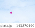 雪上の赤い葉 143870490