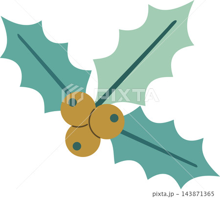 Cute Christmas Holly Leaves with Gold Berries 143871365