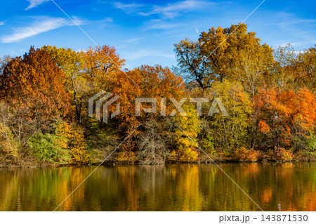 Seasonal fall landscape. Park autumn tree and pond in New York. Scenic fall. Central park in autumn. Autumn landscape with pond. Fall nature landscape. Autumn nature in Central park. Deciduous trees Seasonal fall landscape. Park autumn tree and pond in New York. Scenic fall. Central park in autumn. Autumn landscape with pond. Fall nature landscape. Autumn nature in Central park. Deciduous trees 143871530