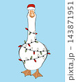 Funny goose in Santa hat wrapped in Christmas lights. Holiday goose icon, isolated vector illustration, 143871951