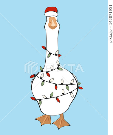 Funny goose in Santa hat wrapped in Christmas lights. Holiday goose icon, isolated vector illustration, 143871951