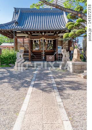 尼崎　櫻井神社　拝殿（尼崎藩の藩主桜井松平家を祀る神社）創建は明治時代 143872358