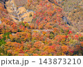 明智平から見る紅葉(栃木県日光市) 143873210