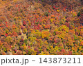 明智平から見る紅葉(栃木県日光市) 143873211