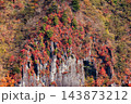 明智平から見る紅葉(栃木県日光市) 143873212