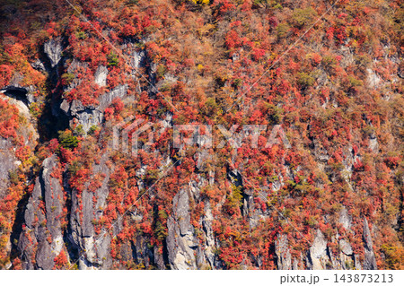 明智平から見る紅葉(栃木県日光市) 143873213