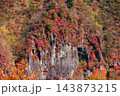 明智平から見る紅葉(栃木県日光市) 143873215