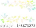 枝葉のイラストのフレーム 143873272